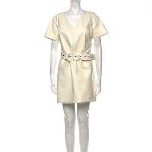 Cinq a sept v neck mini dress